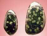 Nebula Stone Palmstones, Nebula Palm Stones, Palmstones, Palm Stones, Palm Stone, Healing Palmstones, Gemstone Palmstones, Gemstone Palm Stones, Pocket Stones, Palm and Pocket Stones,